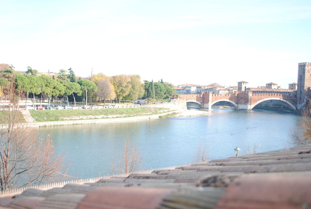 Dreaming Arena Verona